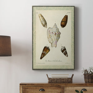 Bookplate Shells IV Premium Gallery Wrapped Canvas - Ready to Hang