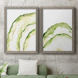 Lichen Halo I - Barnwood Framed Canvas Set