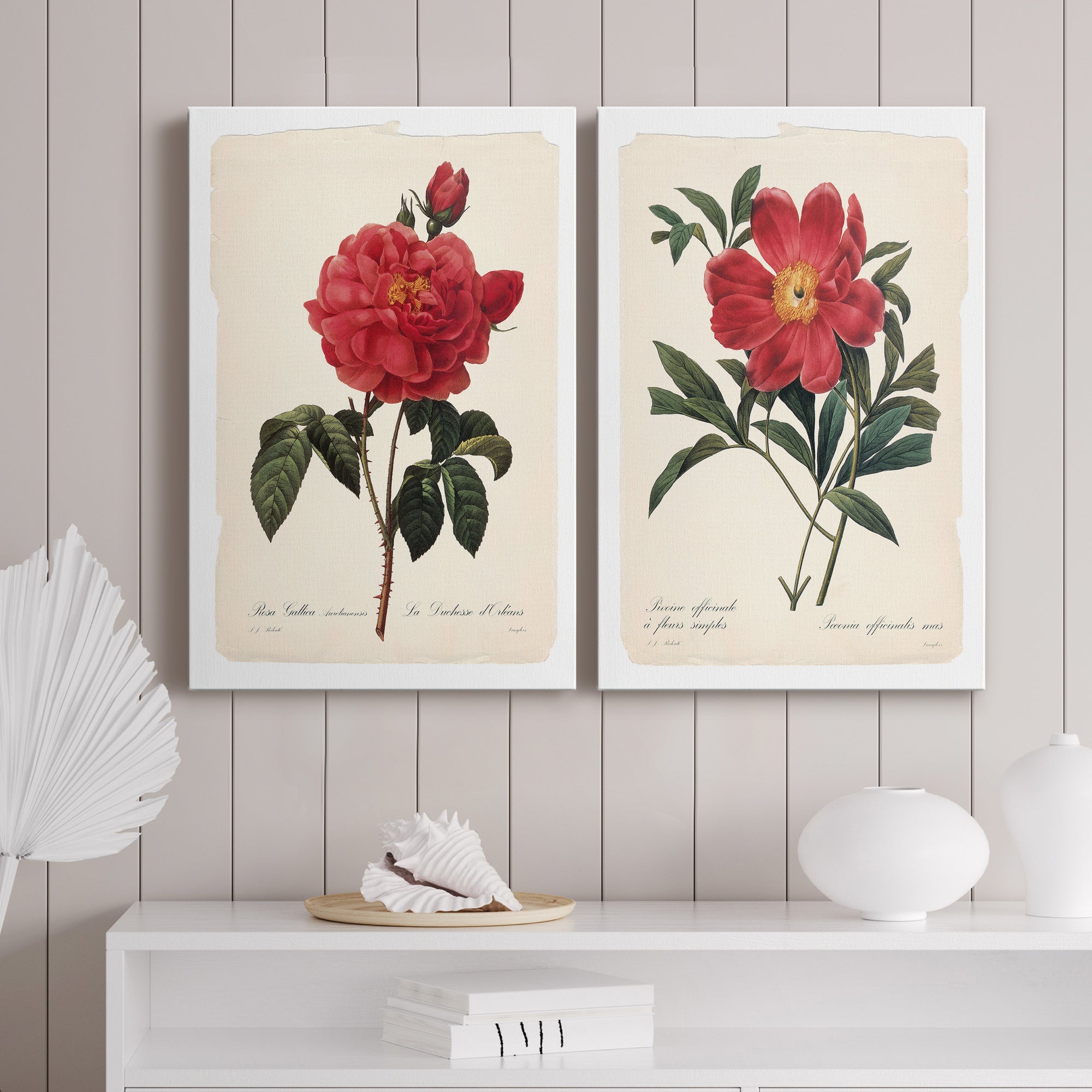 Red Botanical III Premium Gallery Wrapped Canvas - Ready to Hang - Set of 2 - 8 x 12 Each