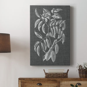 Graphic Foliage III Premium Gallery Wrapped Canvas - Ready to Hang