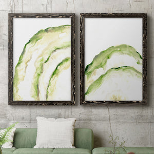 Lichen Halo I - Barnwood Framed Canvas Set