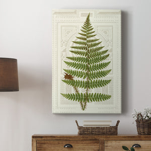 Garden Ferns V Premium Gallery Wrapped Canvas - Ready to Hang