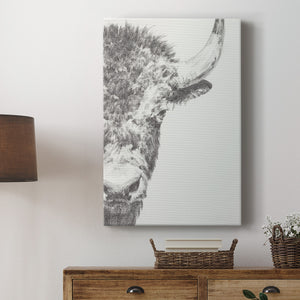 Graphite Bison Portrait II - Canvas Art Print