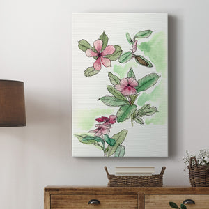 Floral Field Notes VI Premium Gallery Wrapped Canvas - Ready to Hang