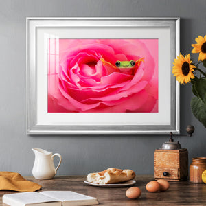 Hanging On VIII - Modern Framed Art Print