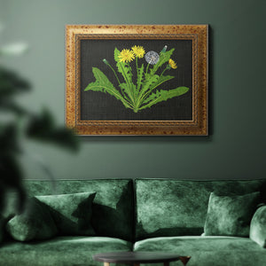 Wild Dandelion II Premium Framed Canvas- Ready to Hang