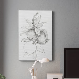 Fruit-Bearing Branch II - Canvas Art Print