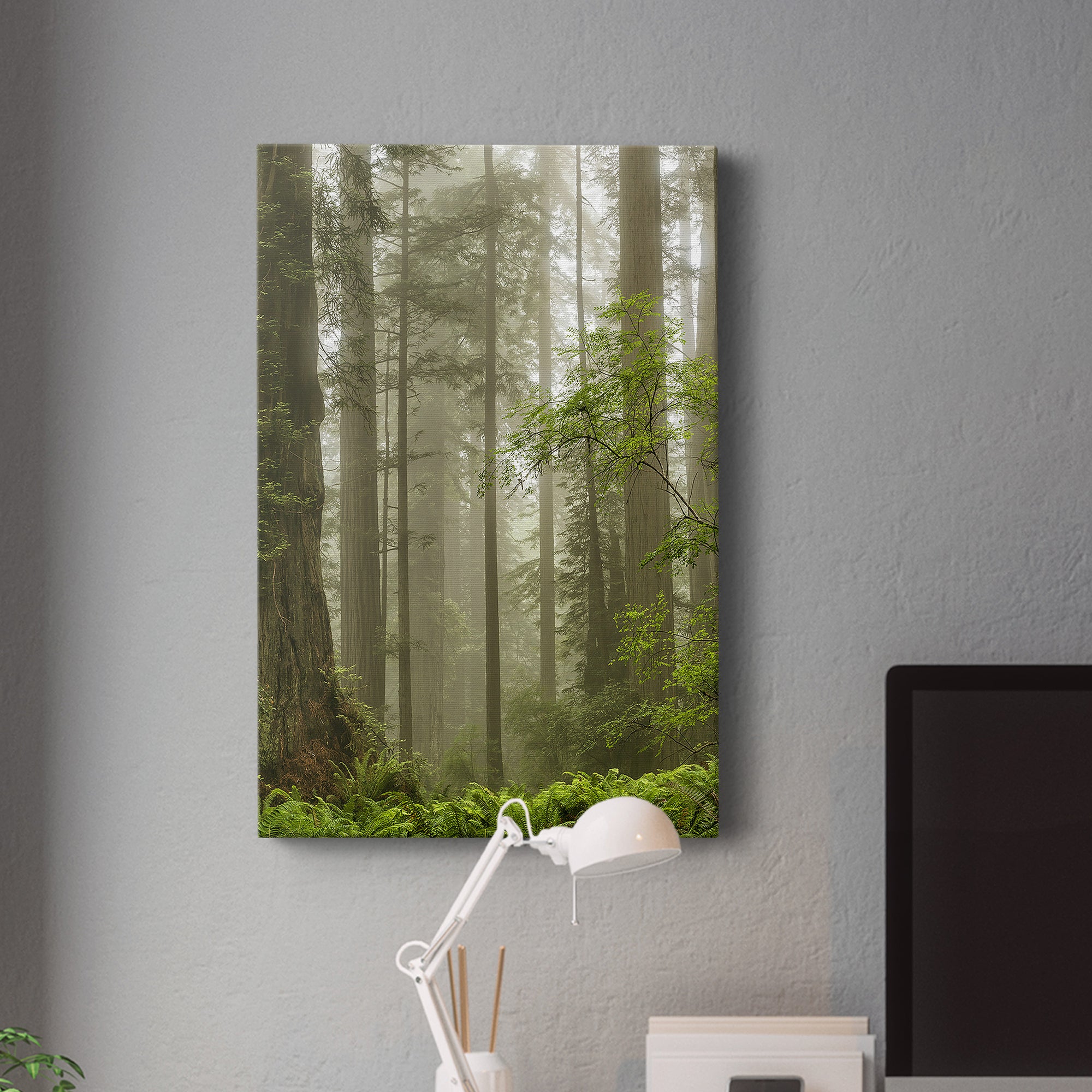 Summer Forest II Premium Gallery Wrapped Canvas - Ready to Hang