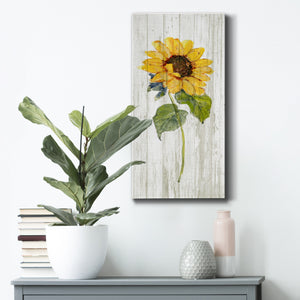 Sunflower in Autumn I - Premium Gallery Wrapped Canvas - Ready to Hang