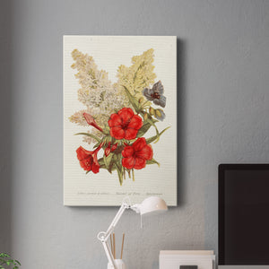 Antique Floral Bouquet V Premium Gallery Wrapped Canvas - Ready to Hang