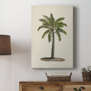 UA CH British Palms I Premium Gallery Wrapped Canvas - Ready to Hang
