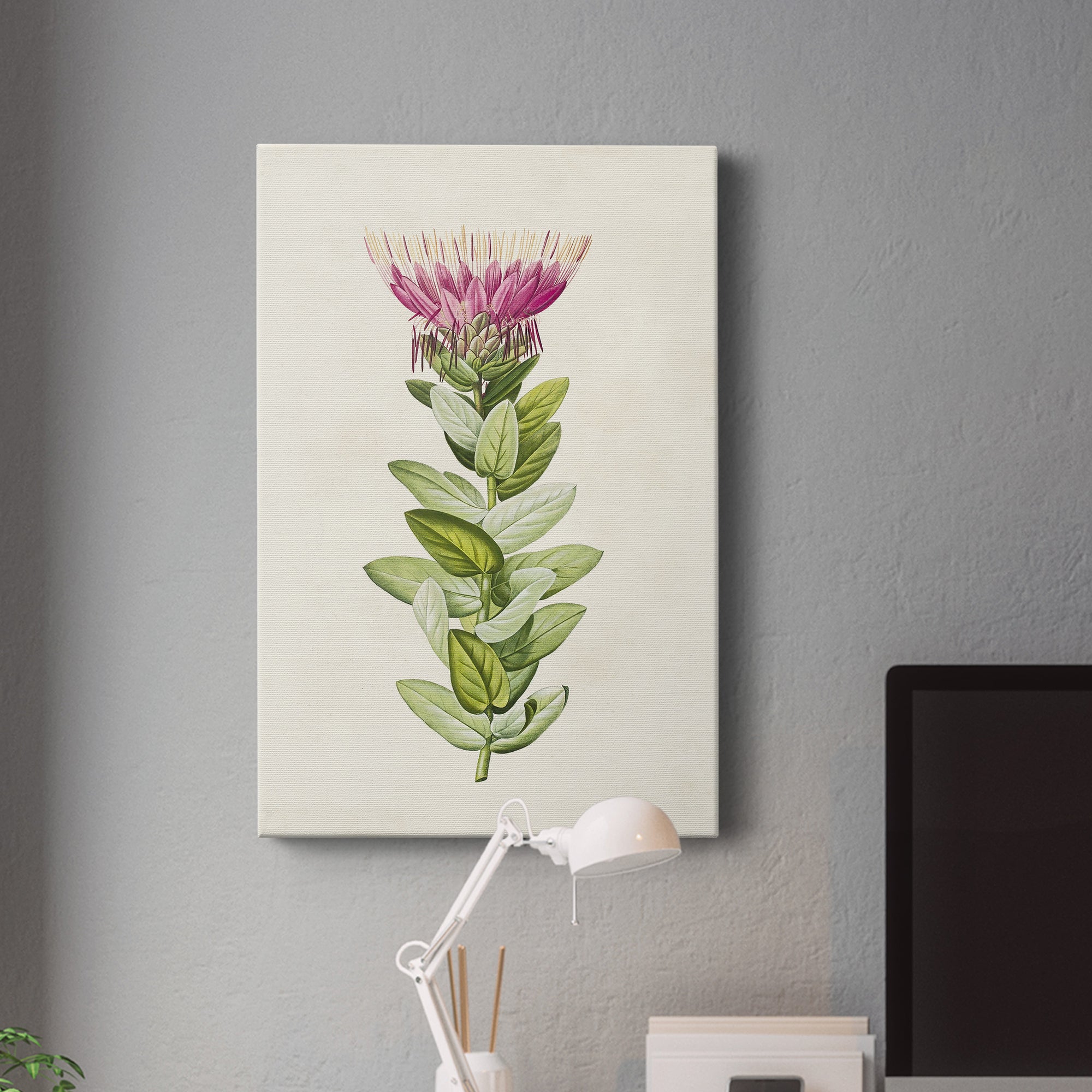 Pretty Pink Botanicals IV Premium Gallery Wrapped Canvas - Ready to Hang