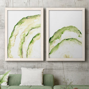 Lichen Halo I - Barnwood Framed Canvas Set