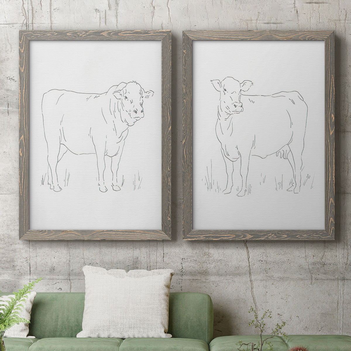 Limousin Cattle I - Barnwood Framed Canvas Set
