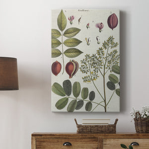 Exotic Botanique I - Canvas Art Print