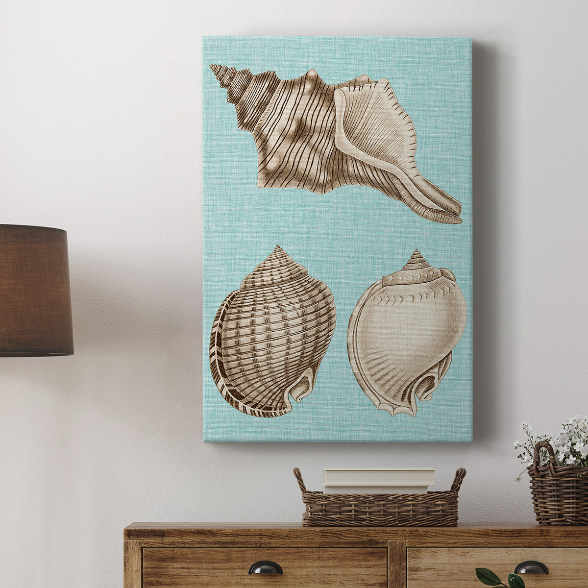 Sepia & Aqua Shells V Premium Gallery Wrapped Canvas - Ready to Hang
