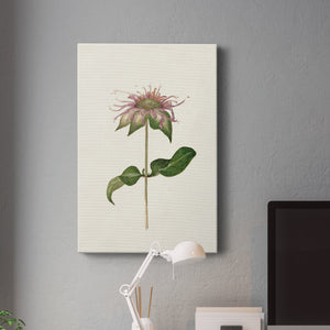 Mauve Garden Flowers V Premium Gallery Wrapped Canvas - Ready to Hang
