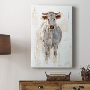 Sunlit Cows I - Canvas Art Print