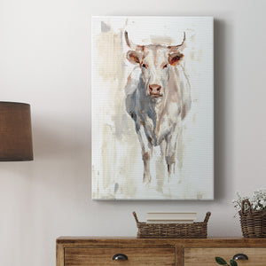Sunlit Cows II - Canvas Art Print