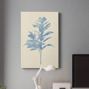 Verditer Fig I - Canvas Art Print