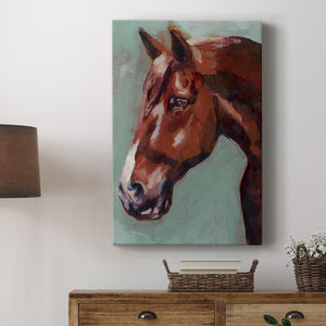 Paint by Number Horse I - Canvas Art Print
