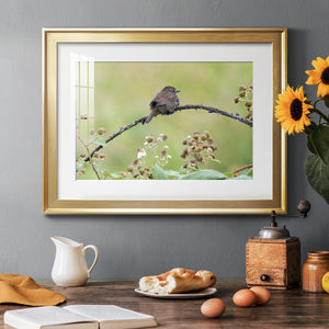Resting Sparrow - Modern Framed Art Print