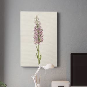 Mauve Garden Flowers I Premium Gallery Wrapped Canvas - Ready to Hang