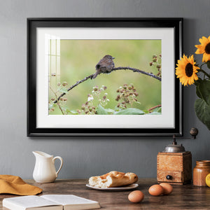 Resting Sparrow - Modern Framed Art Print