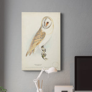 Barn Owl Premium Gallery Wrapped Canvas - Ready to Hang