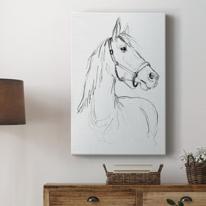 Bridle Portraits II - Canvas Art Print