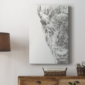 Graphite Bison Portrait I - Canvas Art Print