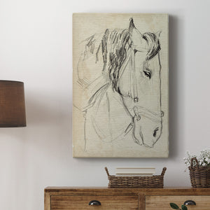 Horse in Bridle Sketch I - Canvas Art Print
