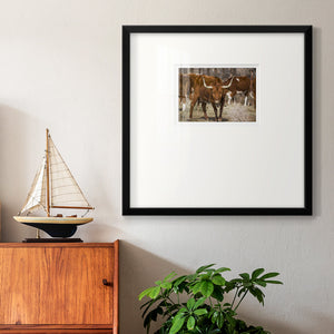 Longhorns- Premium Framed Print Double Matboard