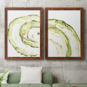 Lichen Halo V - Barnwood Framed Canvas Set