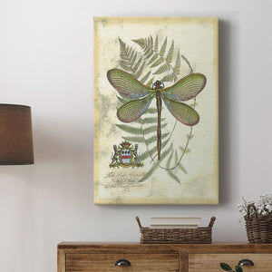 Regal Dragonfly II (PP)  - Canvas Art Print