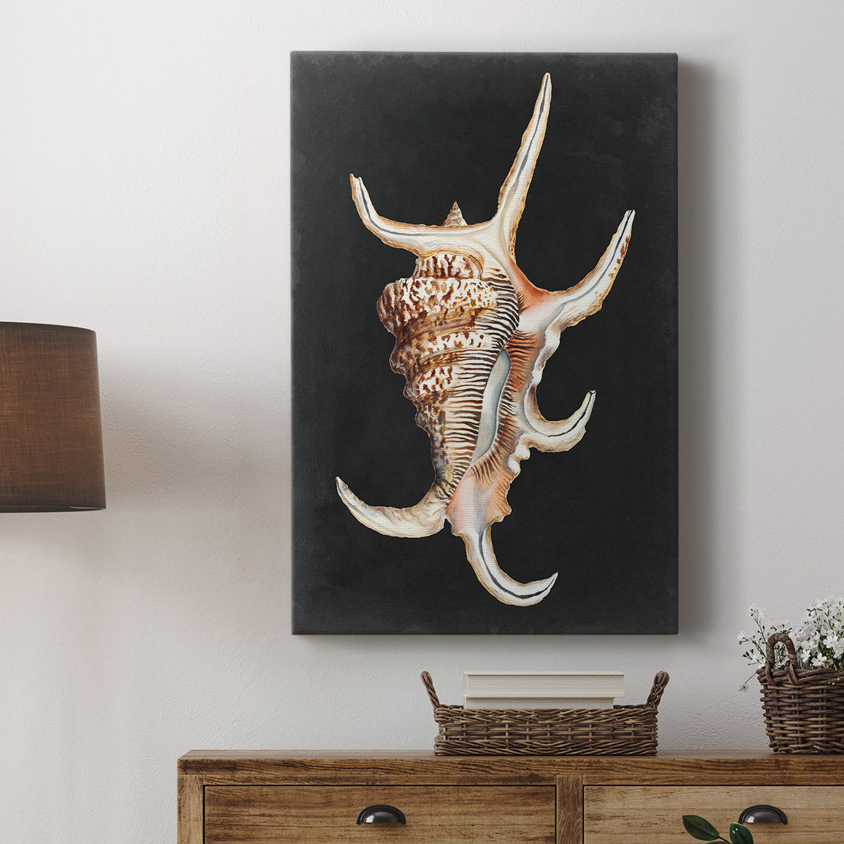 Graphic Spider Conch Premium Gallery Wrapped Canvas - Ready to Hang