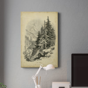 The Larch - Canvas Art Print