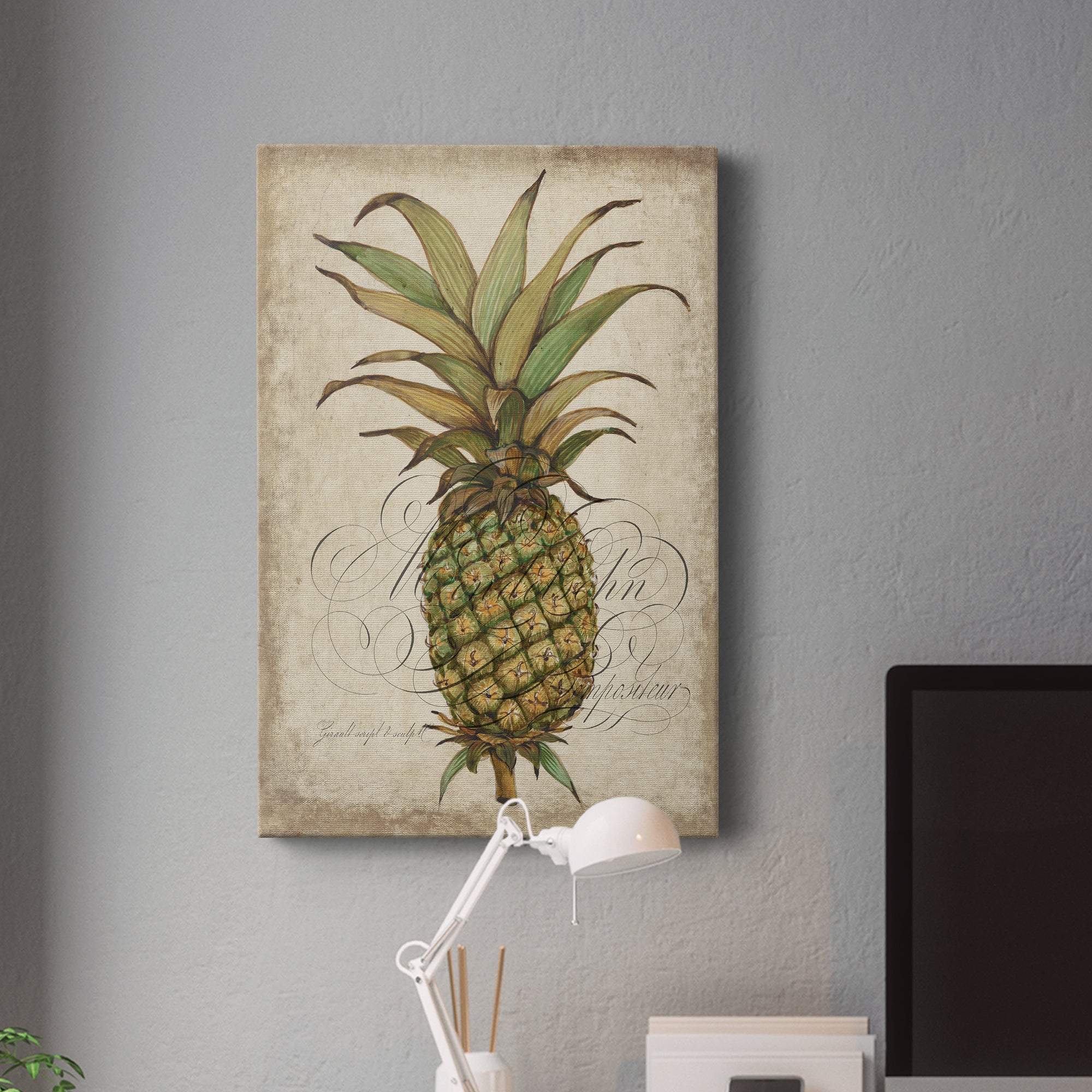 Pineapple Study I Premium Gallery Wrapped Canvas - Ready to Hang