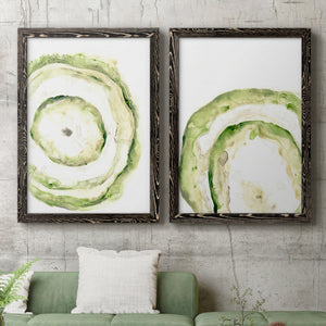Lichen Halo III - Barnwood Framed Canvas Set