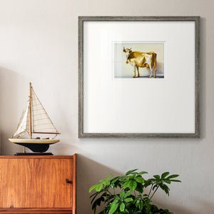 Gold Cow Premium Framed Print Double Matboard