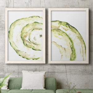 Lichen Halo V - Barnwood Framed Canvas Set