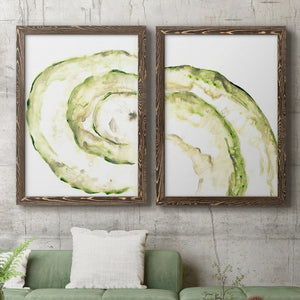 Lichen Halo V - Barnwood Framed Canvas Set