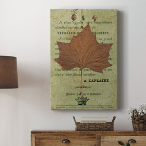 Autumn Leaf II Premium Gallery Wrapped Canvas - Ready to Hang