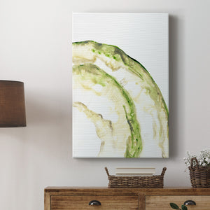 Lichen Halo VI - Canvas Art Print