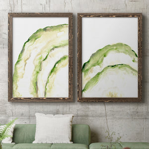 Lichen Halo I - Barnwood Framed Canvas Set