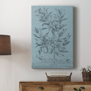 Botanical on Teal I Premium Gallery Wrapped Canvas - Ready to Hang