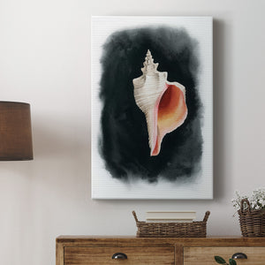 Conch on Black II - Canvas Art Print
