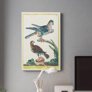 Pastel Birds III - Canvas Art Print