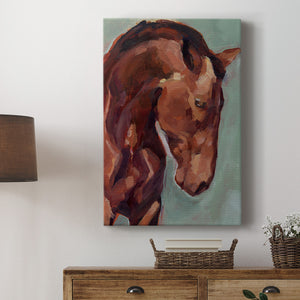 Paint by Number Horse II - Canvas Art Print