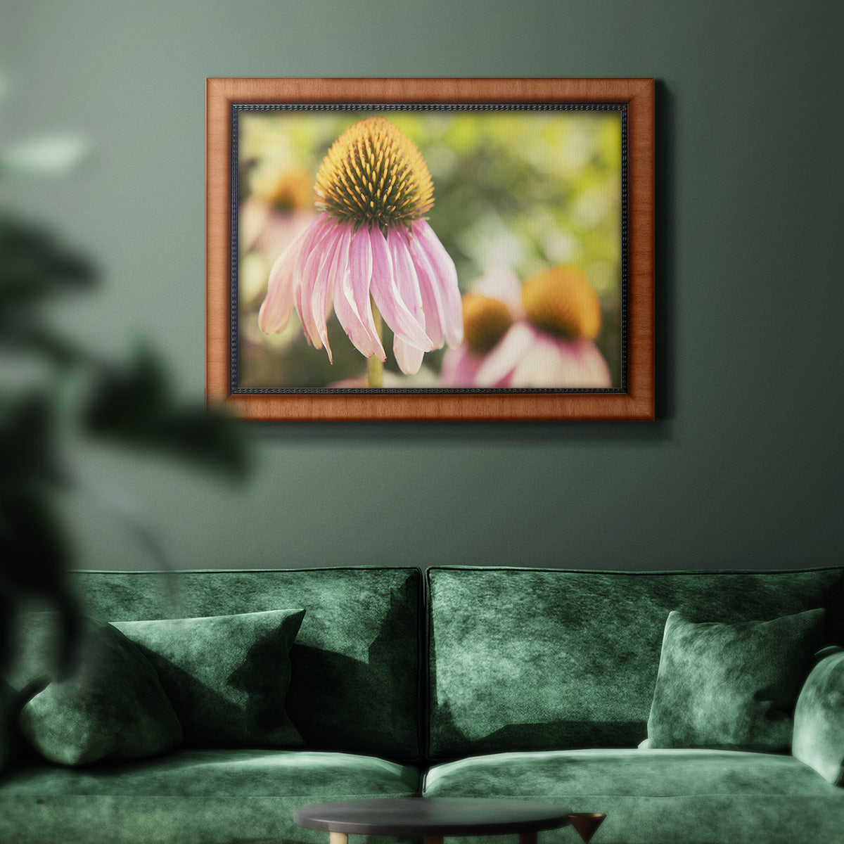 Echinacea Study II Premium Framed Canvas- Ready to Hang